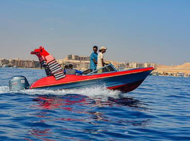 Private Speed Boat Trip to the Dolphin House