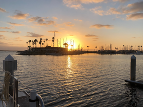 A stunning sunset over a marina, with palm trees silhouetted against the vibrant sky — a picturesque scene perfect for evening boat trips or romantic getaways.