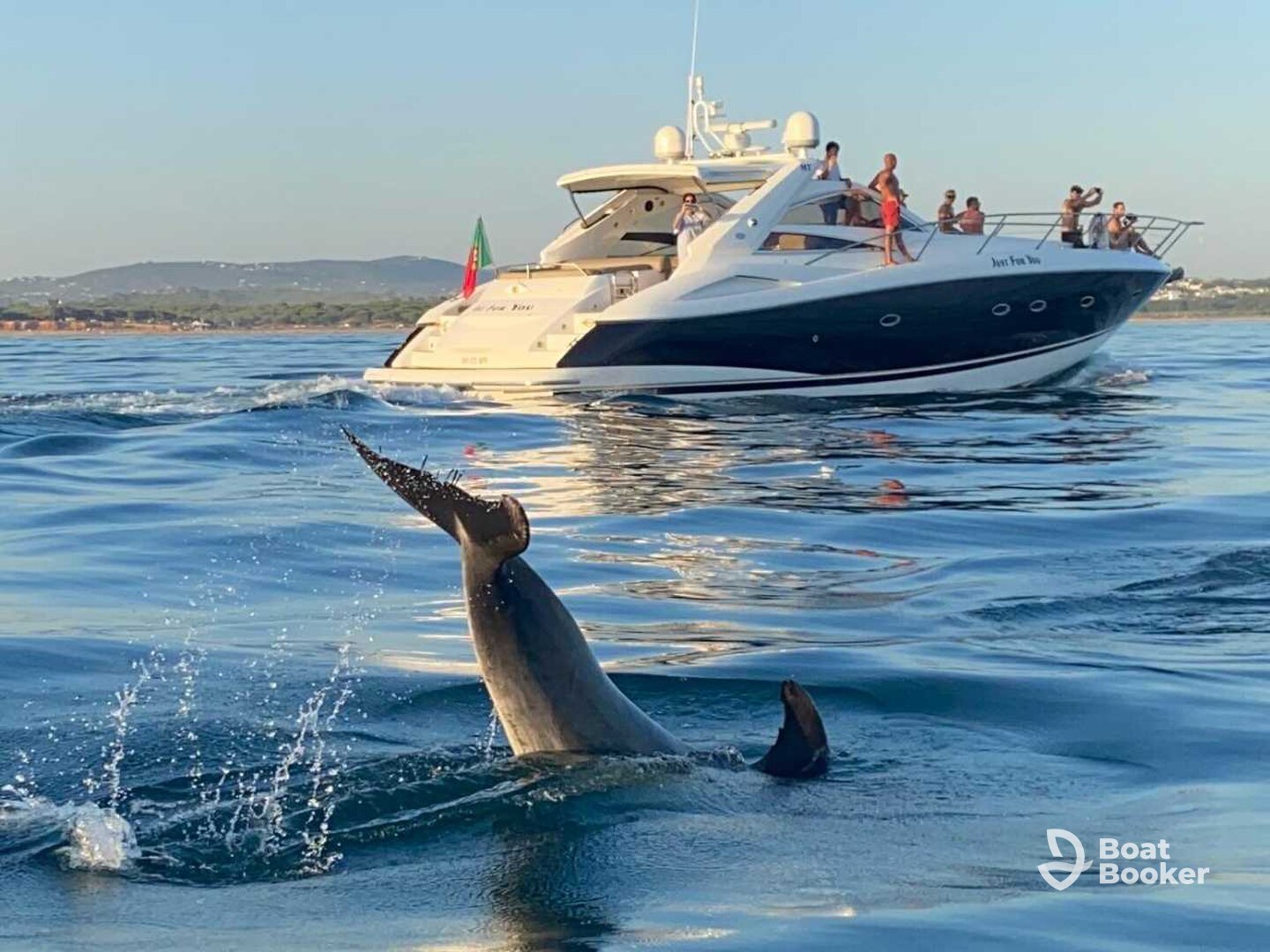Eco Sun Charters – Just For You