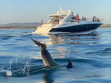 Eco Sun Charters – Just For You