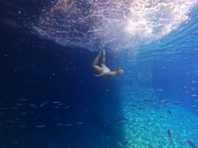 A swimmer explores the vibrant underwater world, surrounded by schools of fish — a perfect snapshot of adventure and marine life in the ocean.