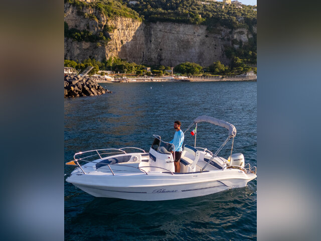 Listing image 1175139