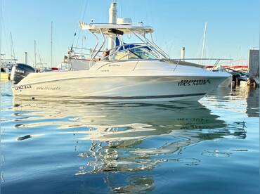 Wellcraft 242 Coastal MCYachtsCo.