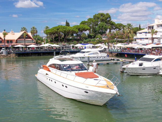 Listing image 1175328