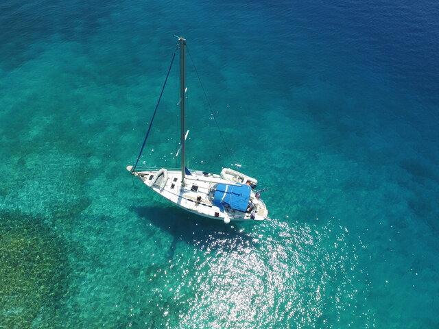 Listing image 1175384