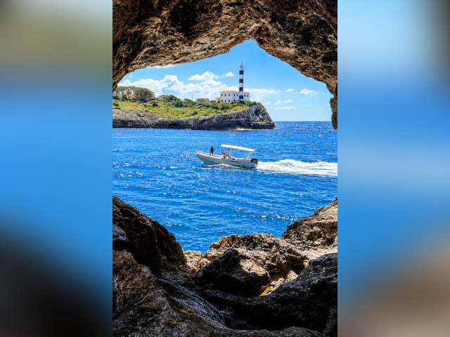Listing image 1176333
