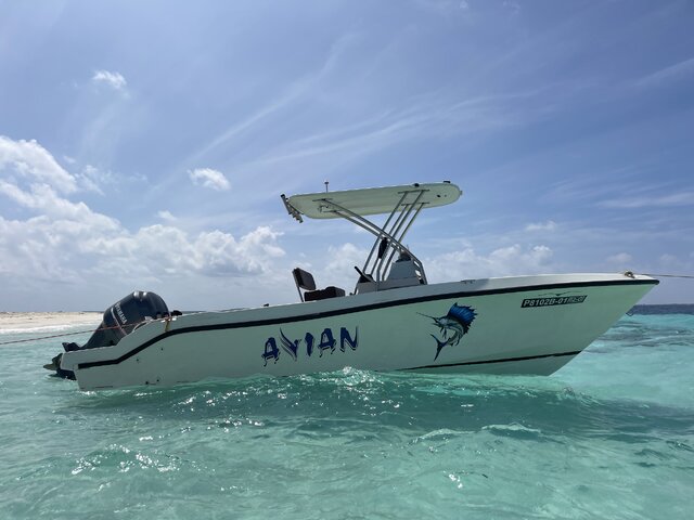 Listing image 1175415
