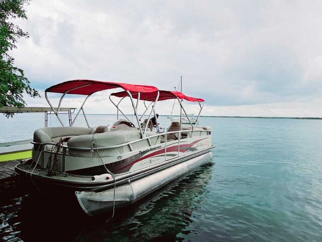 Listing image 1175421