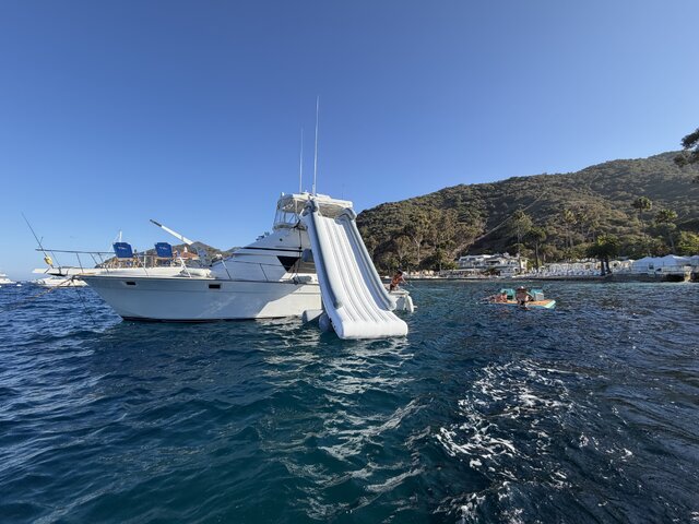 Listing image 1206582