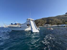 A lively scene featuring a boat with a water slide, where guests are enjoying the water and having fun — perfect for summer adventures and group outings.