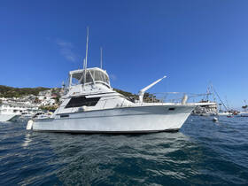 A stunning side view of a yacht docked in a picturesque harbor, showcasing its sleek design against a backdrop of coastal homes.