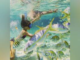 A child swims among vibrant fish in crystal-clear waters, showcasing a captivating underwater wildlife experience perfect for snorkeling adventures.