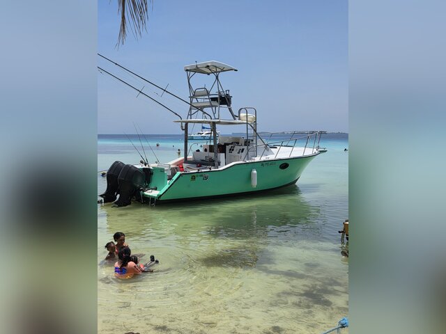 Listing image 1175746