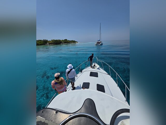 Listing image 1175745