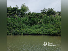 A view of dense greenery along the water's edge, lacking clarity and identifiable features.