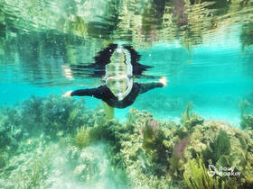 A snorkeler explores vibrant coral reefs in crystal-clear waters, showcasing the beauty of underwater adventures.