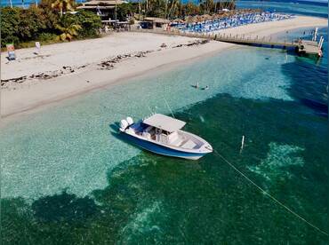 Reef Paradise Tours