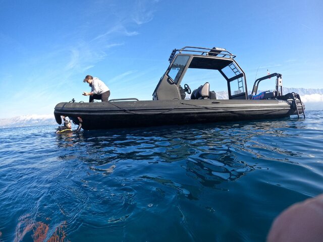 Listing image 1176052