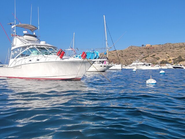Listing image 1176105