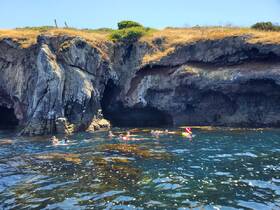 A lively group enjoys snorkeling in clear waters near a rocky coastline, showcasing the beauty of marine adventures.