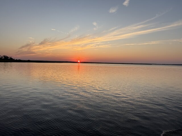 Listing image 1176241