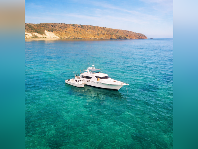 Listing image 1176256
