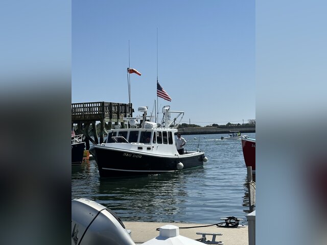 Listing image 1176585