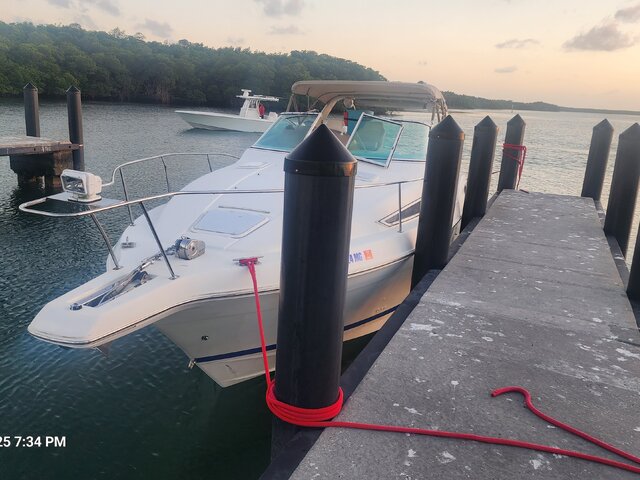 Listing image 1176735