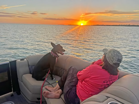 A serene sunset view from a pontoon boat, featuring a person relaxing with their dog, creating a perfect moment for unwinding on the water.