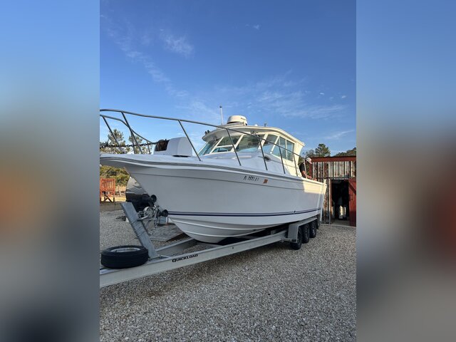 Listing image 1177139