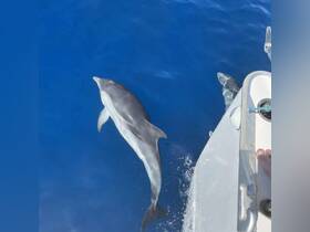 Charter Image