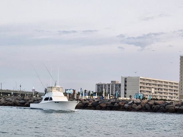 Listing image 1178107