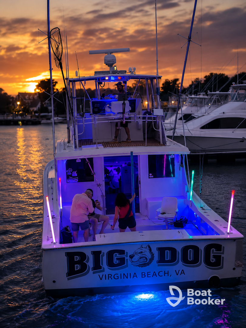 Big Dog Charters