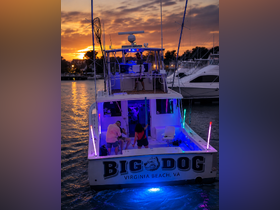 A lively group enjoys a sunset celebration aboard the 'Big Dog' boat in Virginia Beach, showcasing a vibrant atmosphere with colorful lights and camaraderie.