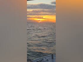 A stunning sunset view over the water, captured from the deck of a boat, showcasing the serene beauty of evening cruises.