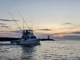 The 'Big Dog' fishing boat navigates through the ocean at sunset, creating a picturesque scene perfect for fishing enthusiasts and sunset lovers.