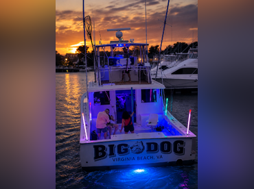 Big Dog Charters