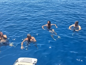 A group of friends enjoys a refreshing swim in crystal-clear waters, capturing the essence of a perfect day on the water.