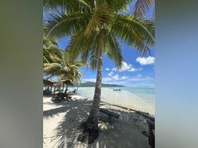 A scenic view featuring palm trees and a tranquil beach setting, ideal for relaxation and enjoying nature.