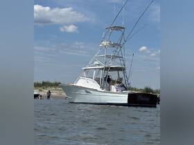 A fishing boat named 'Betsy' anchored near a beach, with people enjoying the water nearby — a perfect scene for a day of fun in the sun.