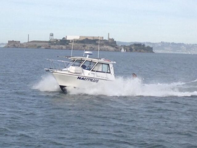 Listing image 1178180