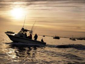 A fishing boat navigates the shimmering waters at sunset, with anglers enjoying the experience — a perfect scene for fishing enthusiasts.