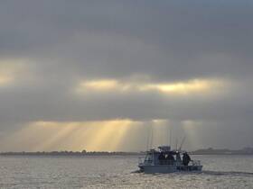 A fishing boat named Nautilus navigates through shimmering waters under dramatic sunlight, creating a picturesque scene perfect for fishing enthusiasts.