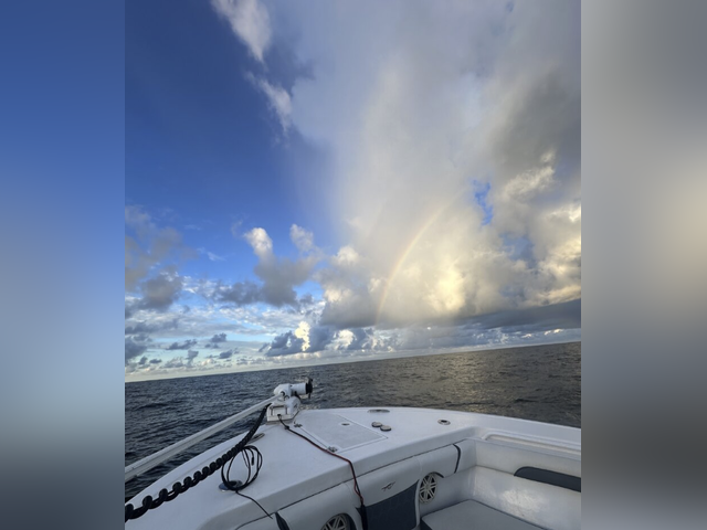 Listing image 1179886