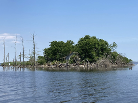 A serene view of a lush island surrounded by calm waters, showcasing the natural beauty of the coastline — perfect for eco tours or scenic boat trips.