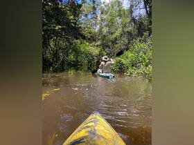 A kayaker navigates through a lush, green waterway, showcasing the beauty of nature and the adventure of exploring hidden waterways.