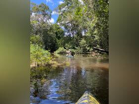 A kayaker navigates through a serene waterway surrounded by lush greenery, showcasing the beauty of nature and adventure in the wild.