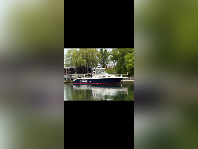 Listing image 1178507