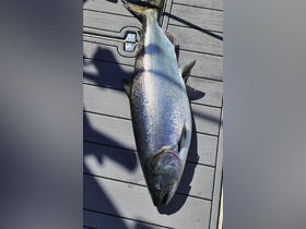 A close-up of a freshly caught fish resting on the deck, showcasing the thrill of fishing adventures on the water.
