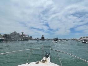 A scenic view of a busy harbor filled with various boats, showcasing the vibrant atmosphere of a popular waterfront destination.